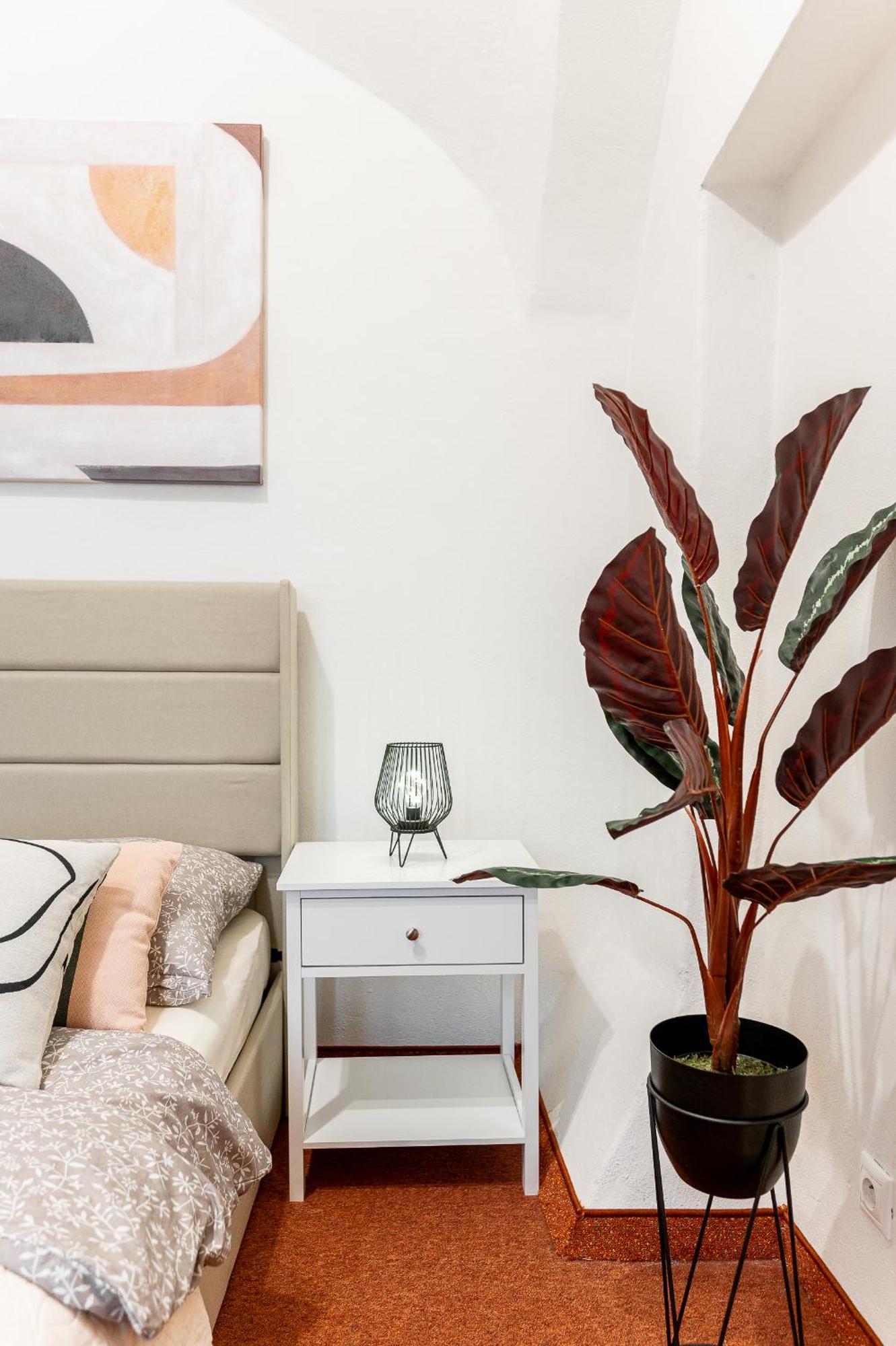 K1 Piatok Sobota Disco Cez Tyzden Tichy Apartman Košice Exteriör bild